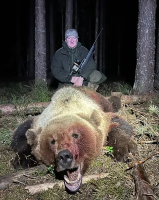 Фото с охоты на медведя фото