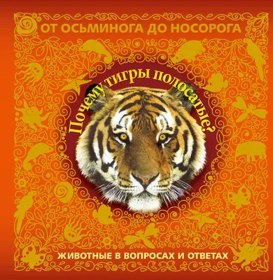 Всем привет от тигра из Дарвинского музея в Москве | Пикабу
