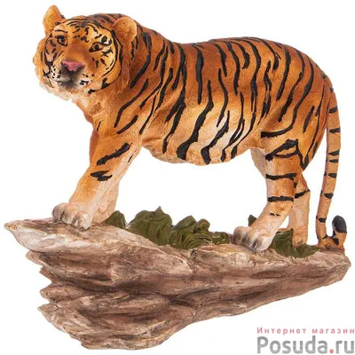 Смертельно заболевший в США тигр был здоров перед отправкой из Москвы //  НТВ.Ru