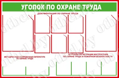 Папка-уголок, А4, 150 мкм, Calligrata, 3 отделения, прозрачная, зелёная (10  шт) - РусЭкспресс