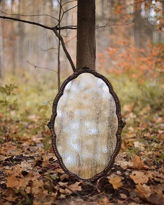 Фото с зеркалом в лесу 66 фото