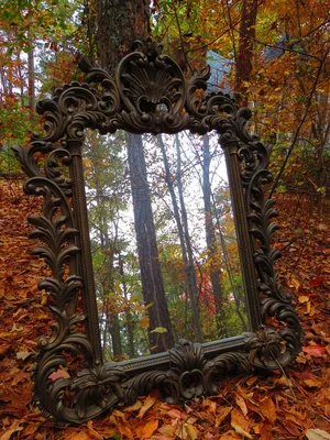 Не заглядывай в зеркало, которое нашёл в лесу 🪞 Зеркала - это окна в  параллельный мир, где твоё отражение может начать действовать… | Instagram