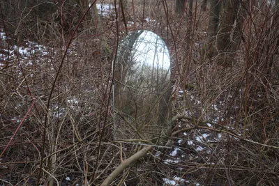 Старинное зеркало в лесу, в зеркале…» — создано в Шедевруме