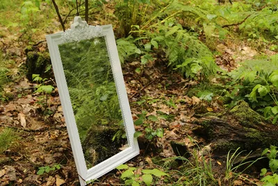 Молодой человек занимает зеркало в лесу под дождем Девушка находит свое  отражение в зеркале Концепция отношений, любви, чувств, д Стоковое  Изображение - изображение насчитывающей выражать, волосы: 169392825