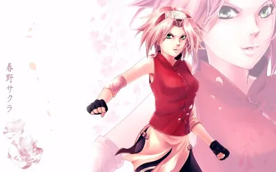 Обои на рабочий стол Сакура Харуно / Sakura Haruno из аниме Наруто /  Naruto, обои для рабочего стола, скачать обои, обои бесплатно