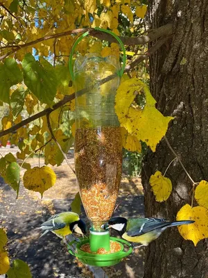 Кормушка для птиц уличная Garden Show на пластиковую бутылку -  «Универсальное и простое в использовании бюджетное решение для подкормки  мелких птиц в лесах и парках» | отзывы