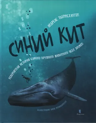 В Охотском море спасли кита - 11 августа 2017 - e1.ru