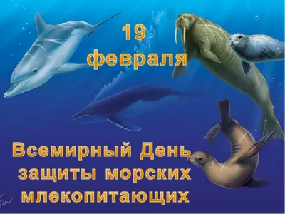 Самый одинокий кит, 2021 — смотреть фильм онлайн в хорошем качестве на  русском — Кинопоиск