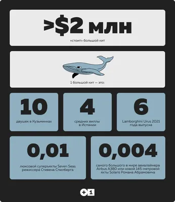 Самый большой крытый горнолыжный центр построят в Шанхае