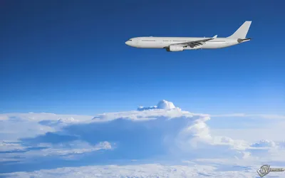 В США пассажирский самолет встретился в небе с загадочным летящим объектом  - ForumDaily