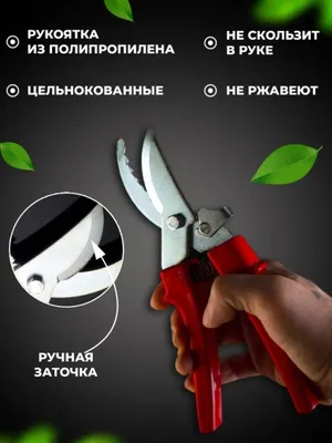 Обзор от покупателя на Секатор FISKARS 1000564 — интернет-магазин ОНЛАЙН  ТРЕЙД.РУ