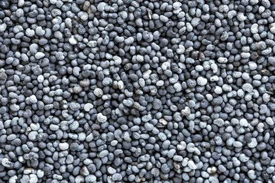 Натуральные семена чиа Biolavka, 400 г купить по низким ценам в  интернет-магазине Uzum (384878)