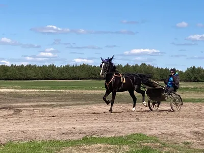 Быть семьей это счастье\"