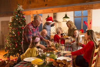 Новый год в кругу семьи: как встретить его весело | PriceMedia