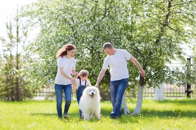 семейная фотосессия / съемка семьи / съемка семьи с собакой / семейная  съемка | Семейные фотосессии, Фотосессия