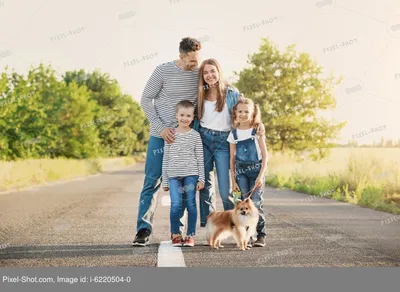 Семья С Собакой В Парке — стоковые фотографии и другие картинки Несколько  поколений семьи - Несколько поколений семьи, Собака, Питомцы - iStock