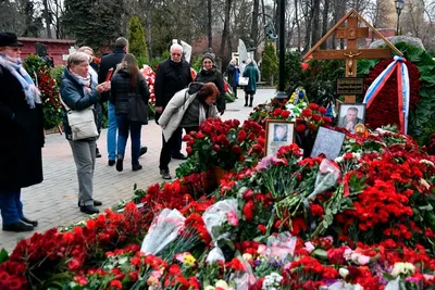 В. Жириновский поздравил молодоженов в День любви, семьи и верности! -  YouTube