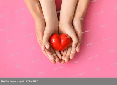 Руки, сложенные сердечком Stock Photo | Adobe Stock