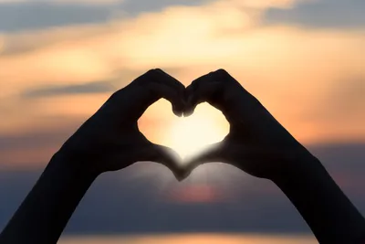 Сердце Из Рук — стоковые фотографии и другие картинки Символ сердца -  Символ сердца, День святого Валентина, Природа - iStock
