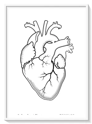 Vector плоская иллюстрация искусства настоящего сердца красного цвета  краски Иллюстрация штока - иллюстрации насчитывающей кнопка, кровожадное:  125511529