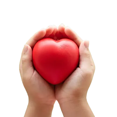 Что угрожает здоровью сердца летом, и как себя защитить? – Академический  медицинский центр (AMC) - медицинская клиника в самом центре Киева