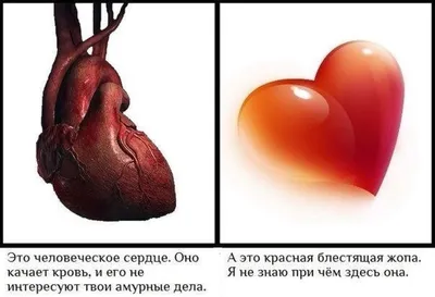 Заболевания сердца: симптомы, виды, причины и лечение