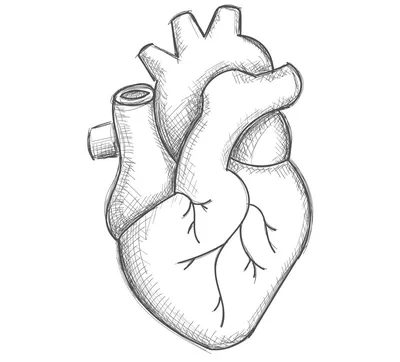 Что означает кулон в виде сердца