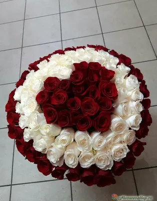 101 бело-красная роза сердцем в коробке | Flowers Valley