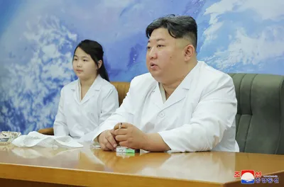 Взгляд в будущее: причудливая реальность интернета в Северной Корее | Пикабу