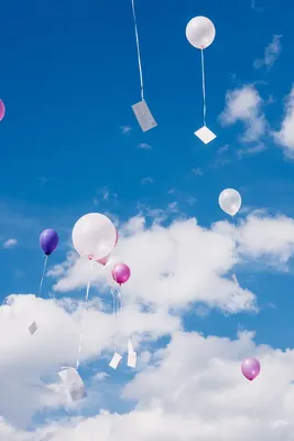 Что происходит с воздушными шарами, выпущенными в небо? | Шарикофф | Дзен
