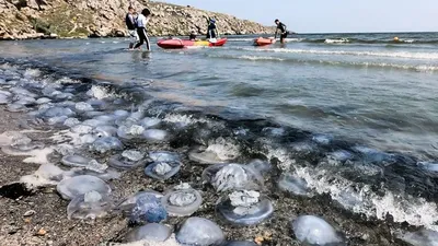 Фотогалерея Пляж в Бухте Широкая в Щёлкино и Ленинский район | Фото на  сайте Azur.ru