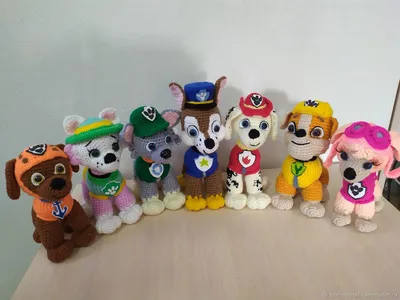 Набор Эверест и Скай Щенячий Патруль - Игрушка Paw patrol купить в СПб |  Интернет-магазин детских игрушек по выгодным ценам Bimkid.ru