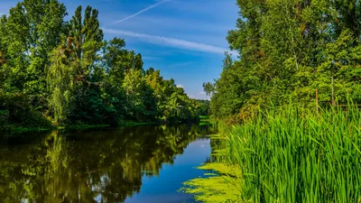 ловля щуки с приложением, северная щука картинки фон картинки и Фото для  бесплатной загрузки