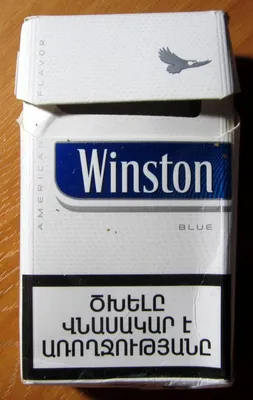 Winston — Википедия