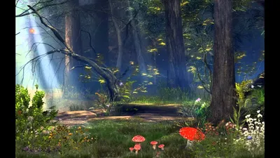 Сказочный лес» готов к открытию - ВЕСТИ / Тамбов