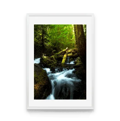 Сказочный лес картинки для детей - 60 фото