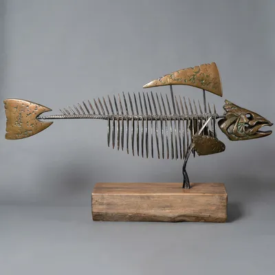 Скелета Рыбы — стоковые фотографии и другие картинки Рыба - Рыба, Скелет  животного, Анатомия - iStock