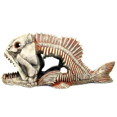 Окаменелый скелет рыбы в слоистой породе | Премиум Фото