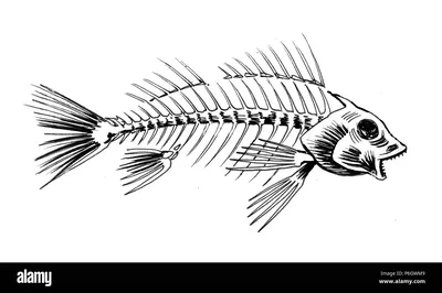 Реалистичный скелет рыбы плывёт в …» — создано в Шедевруме