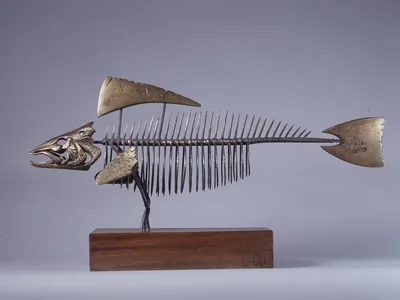 Скелет рыбы прикольный рисунок - 61 фото