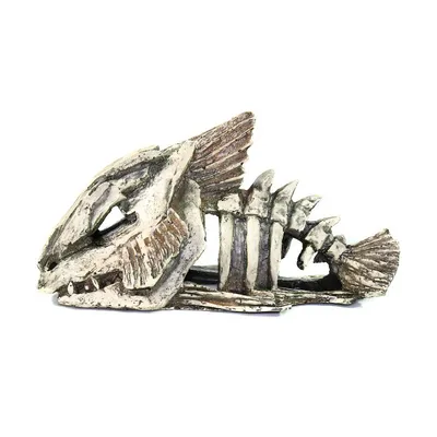 Декорация для аквариума Скелет рыбы, Грот DEKSI арт. №904 - купить с  доставкой по выгодным ценам в интернет-магазине OZON (309444690)