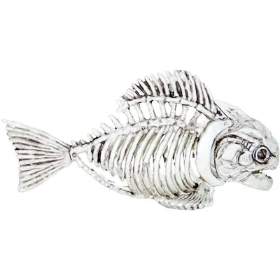 Скелета Рыбы — стоковые фотографии и другие картинки Рыба - Рыба, Остатки  еды, Уродливость - iStock