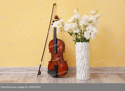 Скрипка и цветы тюльпана на белом стоковое фото ©Elnur_ 9095509