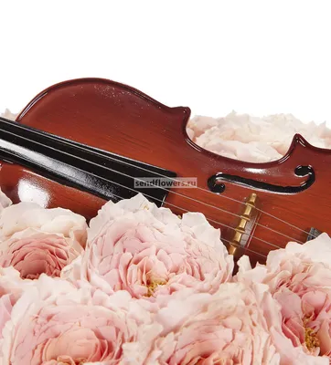 Купить Композиция Скрипка с доставкой | Магазин цветов - Анемоне