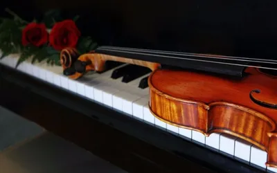 Интерьерная картина 100х60 \"Скрипка и розы\" — купить в интернет-магазине по  низкой цене на Яндекс Маркете