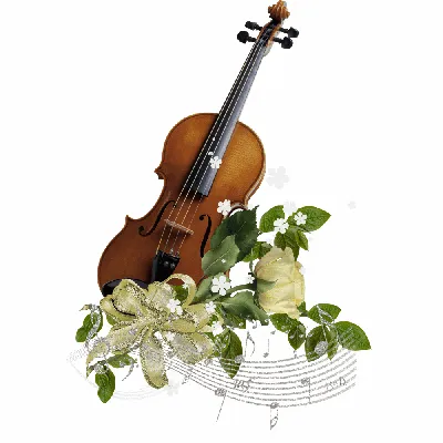 Скрипка со смычком и цветами на дне. | Премиум Фото