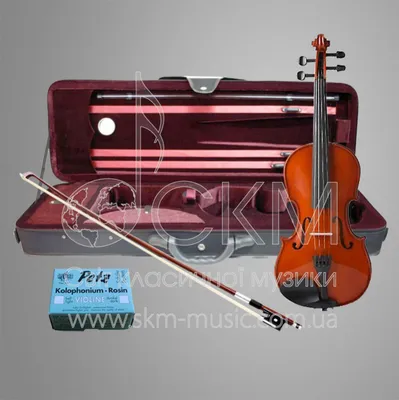 Скрипка студенческая в футляре с смычком, Hora SKR100-1/8 Student описание  и цены | Thecellist-shop.ru