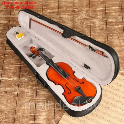 Скрипка Music Life 1/8, в комплекте футляр и смычок - купить с доставкой по  выгодным ценам в интернет-магазине OZON (1048610801)