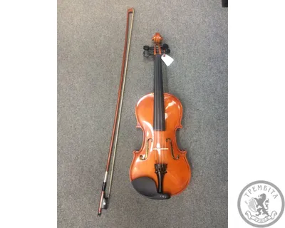 Ложь скрипки и смычка на подоле мужского скрипача Стоковое Фото -  изображение насчитывающей ноги, рамка: 129431590