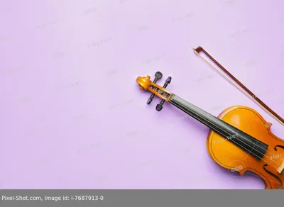 Направляющий инструмент для настройки коллиматора смычка для скрипки для  обучения упражнениям – лучшие товары в онлайн-магазине Джум Гик